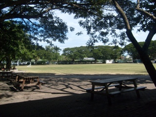 20110524-083405.jpg
