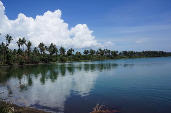 So pretty - yet only just starting to recover from the devastation